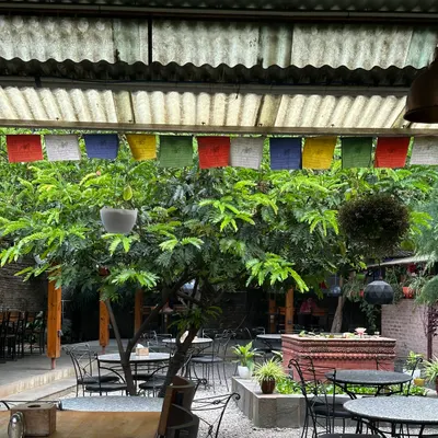 Utpala Cafe restaurant