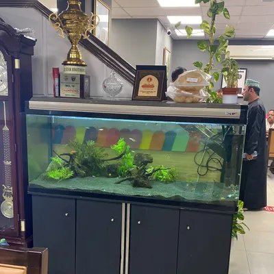 New Gokul Pure Veg restaurant