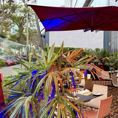 Social Restaurant & Bar restaurant