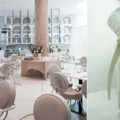 Cosmic Molito restaurant