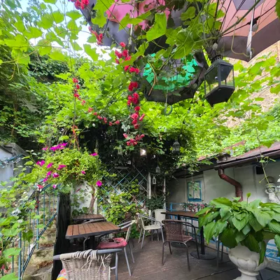 Mazaya Falafel restaurant