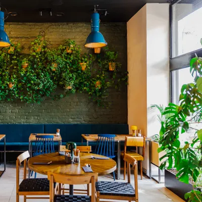 Prosta Pasta Fresca - Restauracja Wegetariańska Kraków restaurant