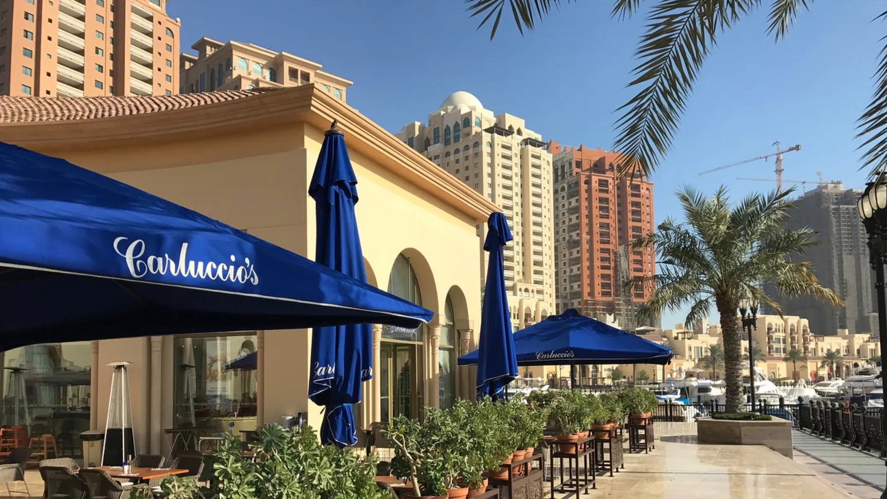 Carluccio's - Pearl Qatar restaurant in The Pearl، Porto Arabia Drive
