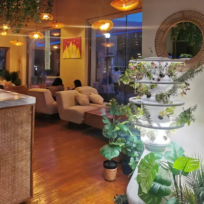 Chia Nation restaurant