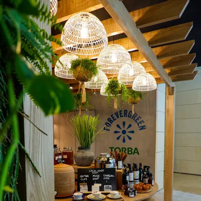 Evergreen Organics restaurant