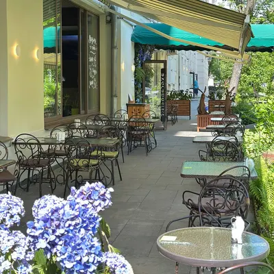 Avocado Cafe restaurant