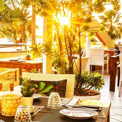 La Terrasse Rooftop Restaurant restaurant
