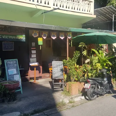 Bodhi Tree Cafe restaurant