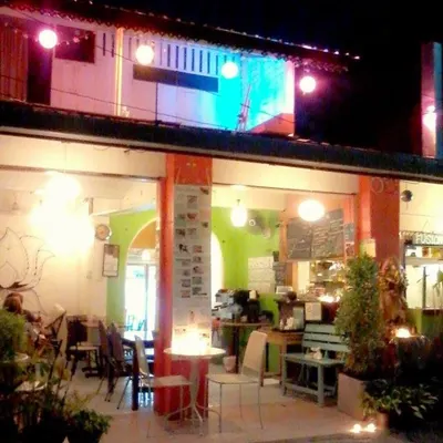 Cat House Chiangmai Thailand restaurant