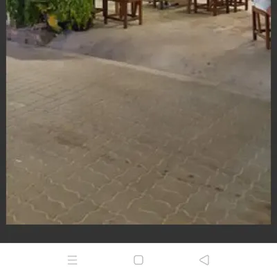 Mangrove restaurant restaurant