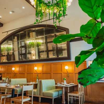 Cafe Fig restaurant