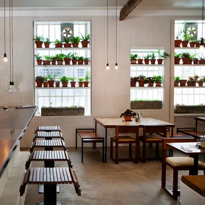 Clarke's Bar & Dining Room restaurant
