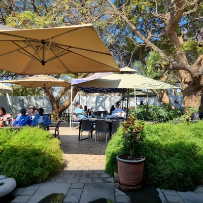 3 Trees Cafe restaurant